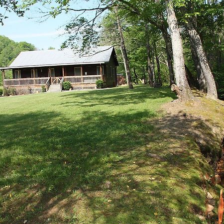 Climbing Bear Creekside Cabin Villa Whittier Buitenkant foto